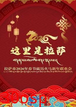 拉萨市2026年春节藏历火马新年联欢会