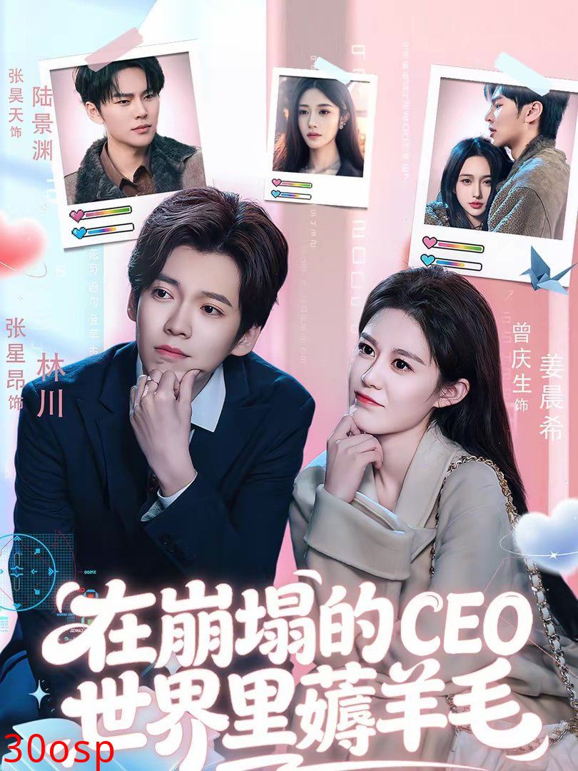 在崩塌的CEO世界里薅羊毛