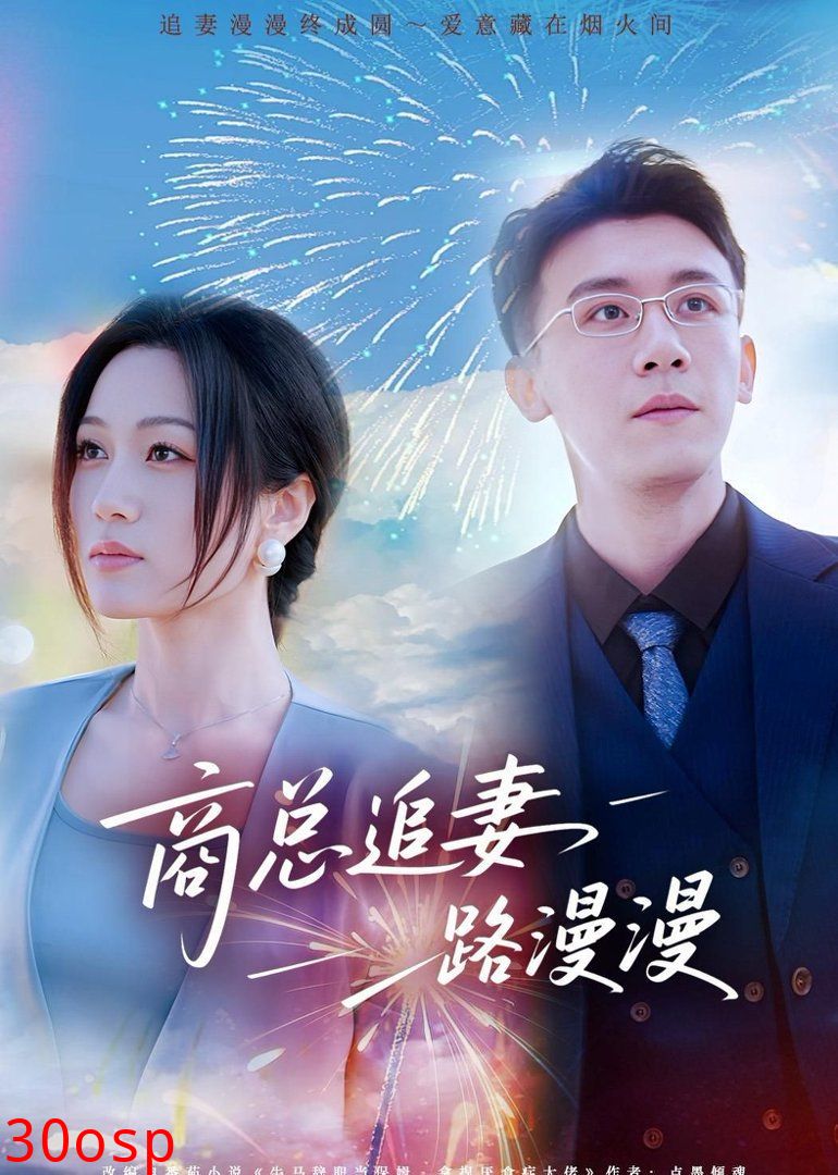 商总追妻路漫漫