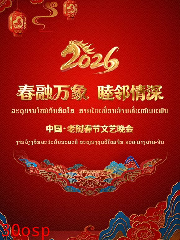 春融万象睦邻情深2026中国老挝春