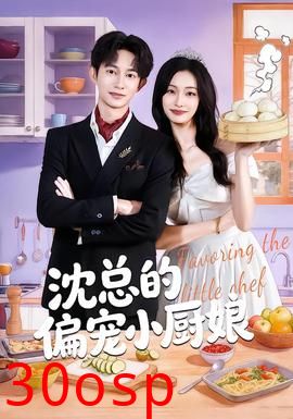 沈总的偏宠小厨娘