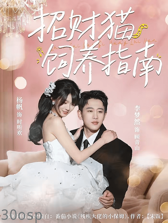 招财猫饲养指南