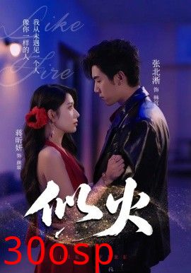 似火短剧版
