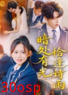 暗处有光恰逢诗雨