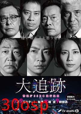 大追踪〜警视厅SSBC强行犯系〜