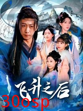 飞升之后