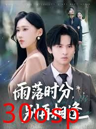 雨落时分别再相逢