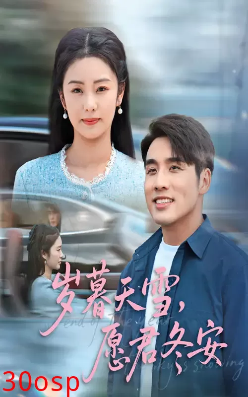 岁暮天雪愿君冬安