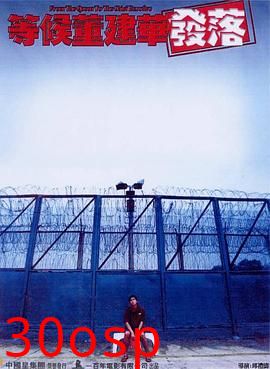 等候董建华发落国语