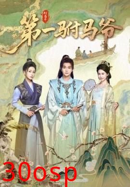 .第一驸马爷