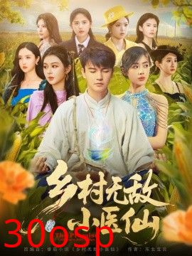 乡村无敌小医仙