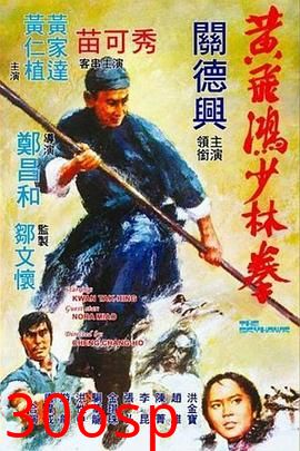 黄飞鸿少林拳粤语