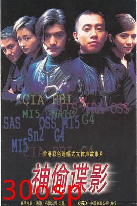 神偷谍影粤语