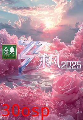 乘风2025