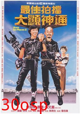 最佳拍档2之大显神通粤语