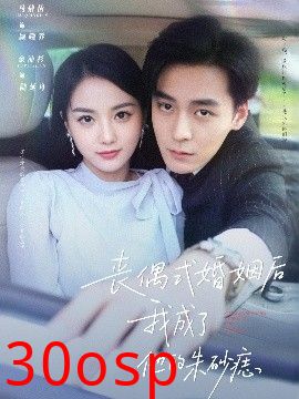 丧偶式婚姻后我成了他的朱砂痣