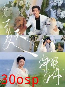 夏天，海浪与你