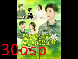 陆指挥你的萌宝僚机已上线