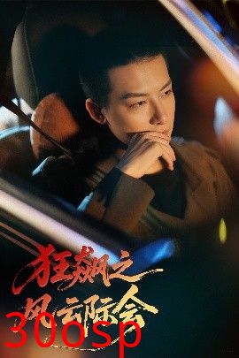 狂飙之风云际会