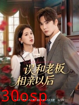 误和老板相亲以后