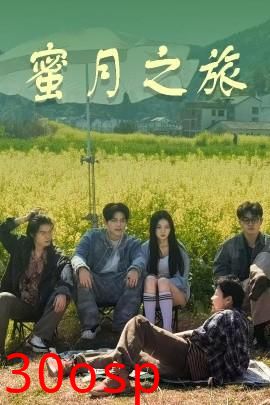 蜜月之旅