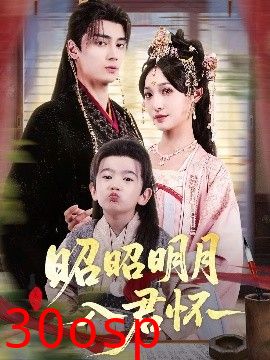 昭昭明月入君怀