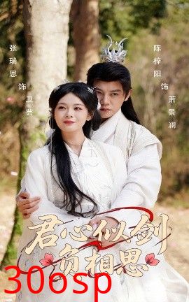 君心似剑负相思