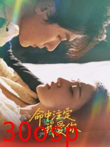 命中注定我爱你63集