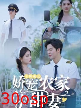 王牌机长娇宠农家小甜妻