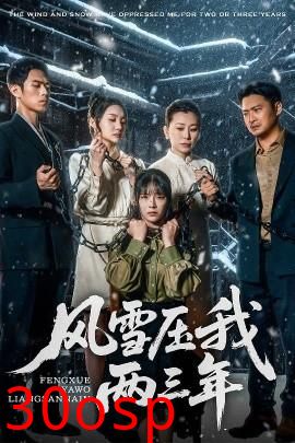 风雪压我两三年