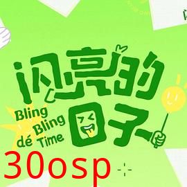 闪亮的日子第五季