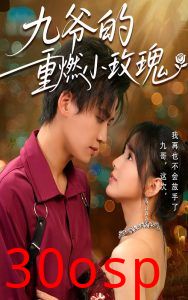 九爷的重燃小玫瑰