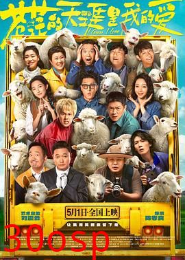 苍茫的天涯是我的爱