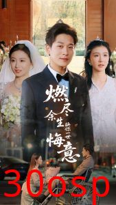 燃尽余生换你一世悔意