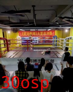 武驰人生2之飓风营救