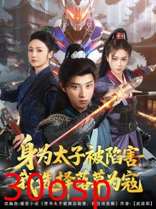 身为太子被陷害，我选择落草为寇