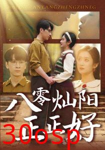 八零灿阳正正好