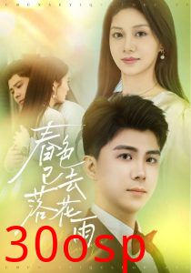 春色已去落花雨