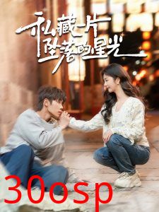 私藏一片坠落的星光