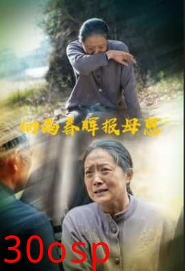 细雨春晖报母恩