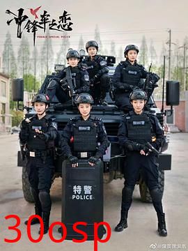 女巡特警之蜂鸟突击队