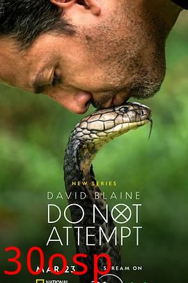 大卫·布雷恩：请勿尝试