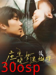 庄生晓梦迷蝴蝶