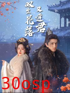 双生花落又逢君