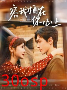 容我栖在你心上