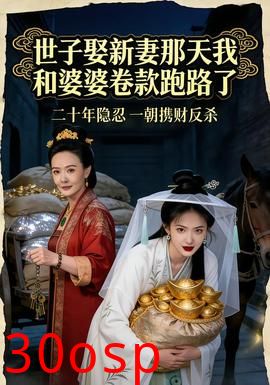 世子娶新妻那天我和婆婆卷款跑路了