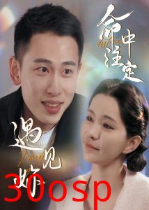 命中注定遇见妳