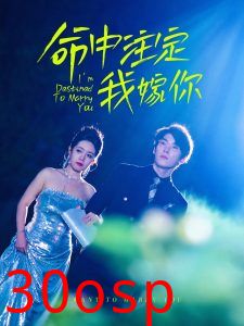 命中注定我嫁你