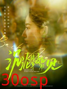 沉沦锦年如初见