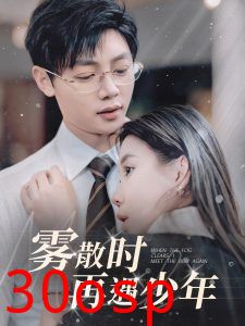 雾散时再遇少年